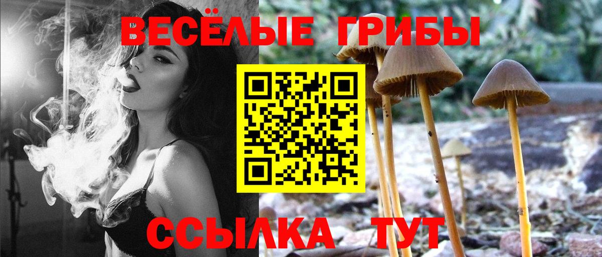 Галлюциногенные грибы Psilocybine cubensis  Вход с VPN  Нарткала 